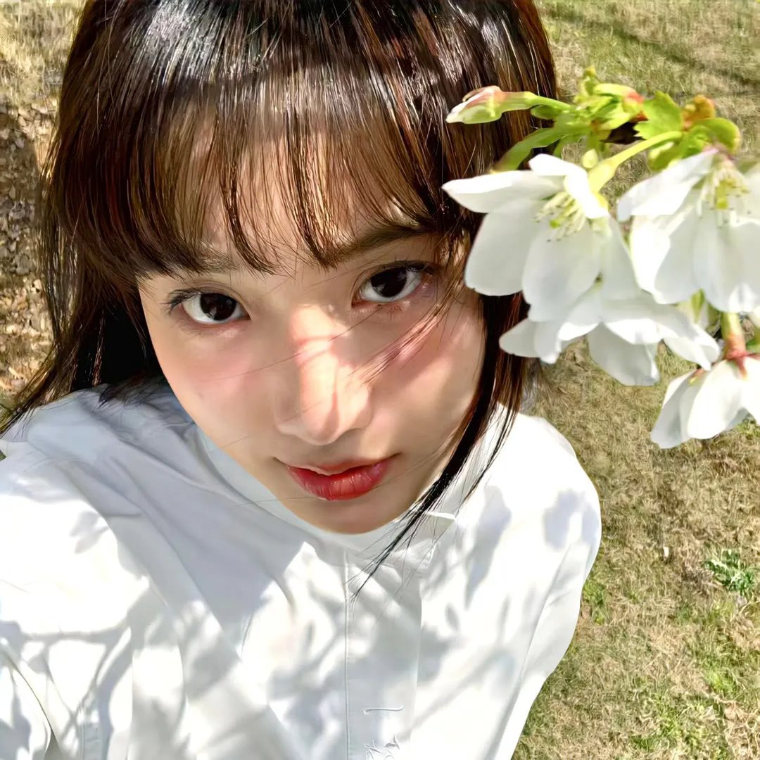 白龙马