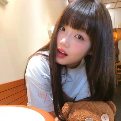 不可思议猫森林